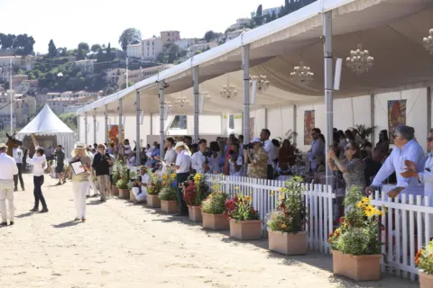 Menton Arabian Horse Show, 2020 edition