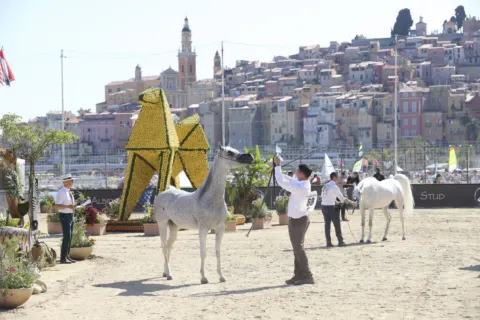 Menton Arabian Horse Show, 2020 edition