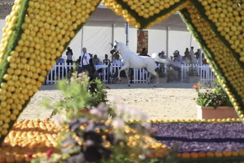 Menton Arabian Horse Show, 2020 edition