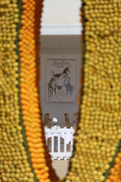 Menton Arabian Horse Show, 2021 edition