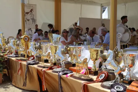 Menton Arabian Horse Show, 2021 edition