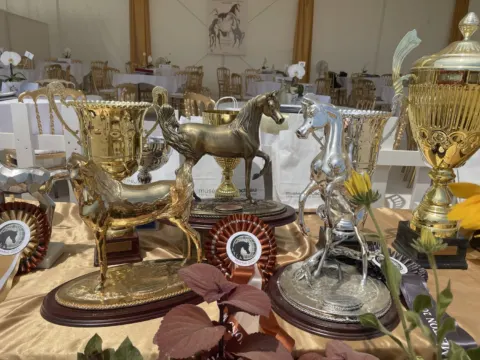 Menton Arabian Horse Show, 2021 edition