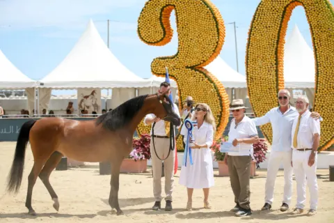 Menton Arabian Horse Show, 2021 edition