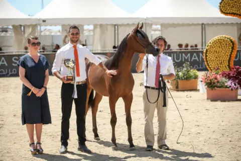 Menton Arabian Horse Show, 2021 edition