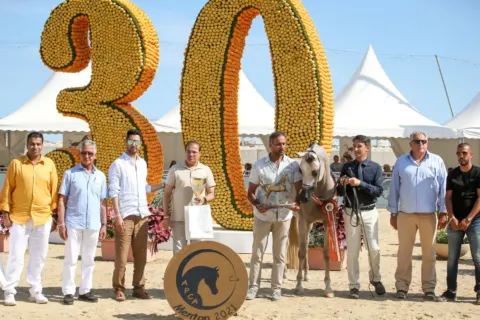Menton Arabian Horse Show, 2021 edition