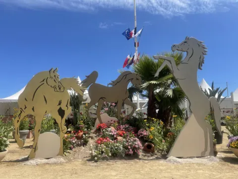 Menton Arabian Horse Show, 2021 edition