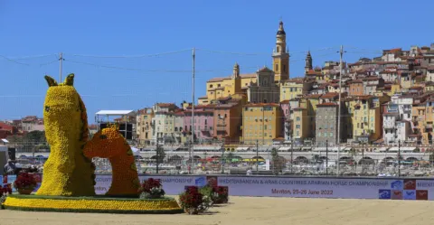 Menton Arabian Horse Show, 2022 edition