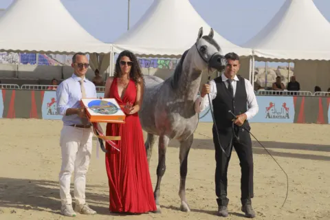 Menton Arabian Horse Show, 2022 edition