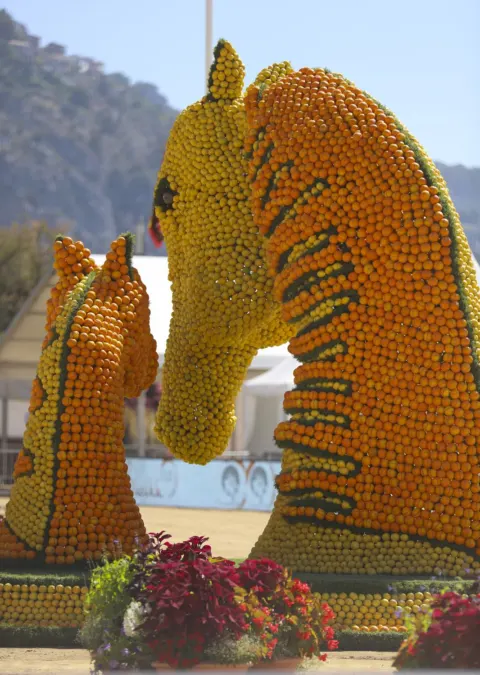 Menton Arabian Horse Show, 2022 edition