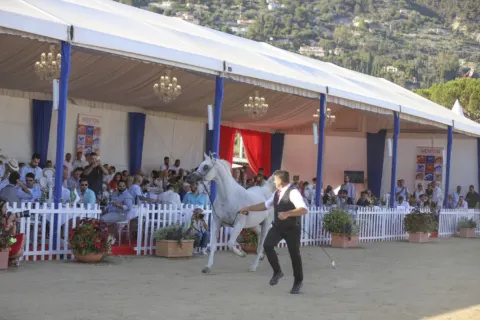 Menton Arabian Horse Show, 2022 edition