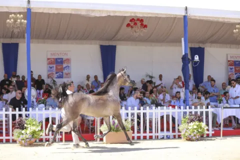 Menton Arabian Horse Show, 2022 edition