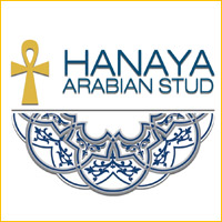 Partner logo: hanaya