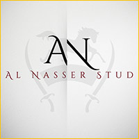 Partner logo: Al Nasser nuovo