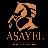 Partner logo: Asayel JPEG