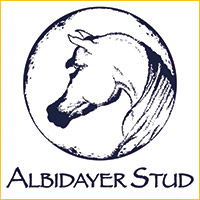 Partner logo: Albidayer Stud