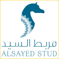 Partner logo: sayed