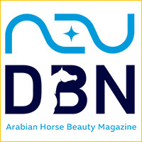 Partner logo: DBN 1