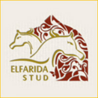 Partner logo: el farida