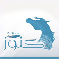 Partner logo: gulf