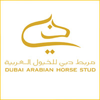 Partner logo: dubai arabian stud