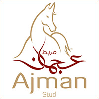 Partner logo: Ajman Stud