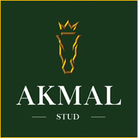 Partner logo: akmal